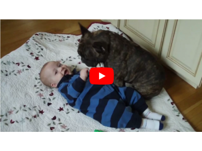 Frenchie and Baby: Best Friends for Life - Video
